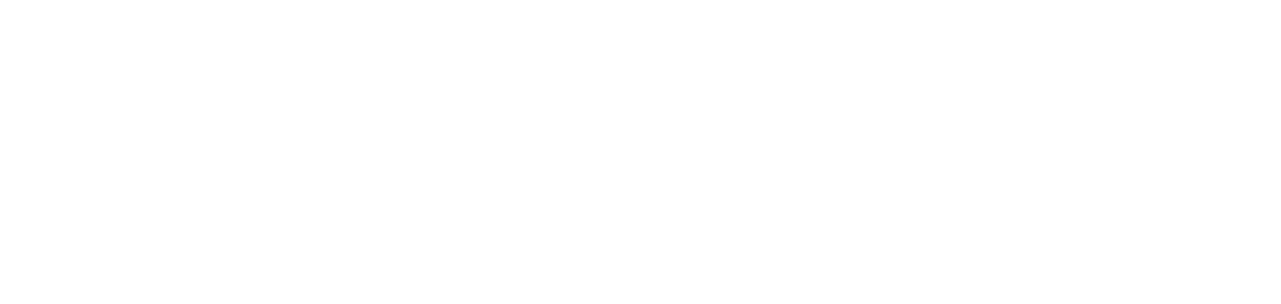 HVM Commerce B.V. logo